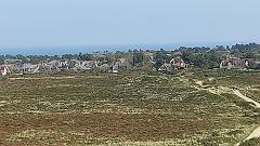 Sylt (25)